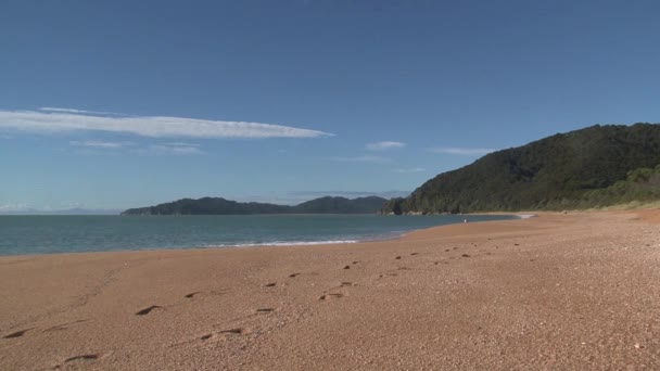 Golden Bay Zoom Out Playa Nueva Zelanda — Vídeo de stock