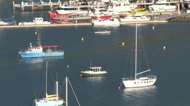 Picton Limanı yakınlaştırması, Yeni Zelanda