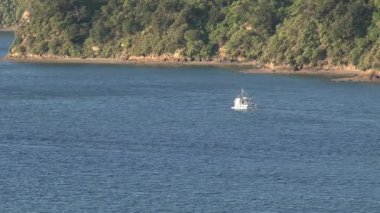 Picton Limanı yakınlaştırması, Yeni Zelanda