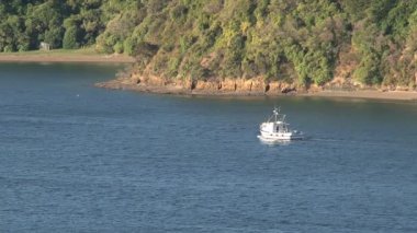 Picton alanı Yeni Zelanda 'da yakınlaştırma