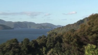Picton bölgesi manzarası, Yeni Zelanda