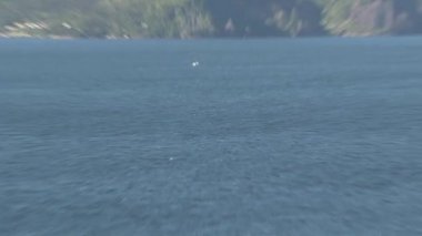 Picton bölgesi manzarası, Yeni Zelanda