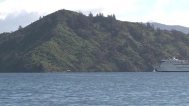 Picton, Yeni Zelanda 'ya gelen feribot.