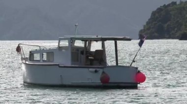Picton Körfezi, Yeni Zelanda 'da tekne.
