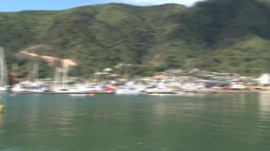 Picton Körfezi ve Limanı, pan, Yeni Zelanda