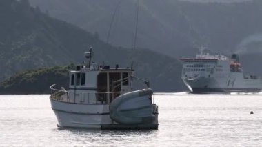 Feribot Picton, Yeni Zelanda 'ya varıyor.