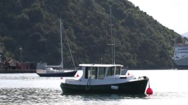 Feribot Picton, Yeni Zelanda 'ya varıyor.