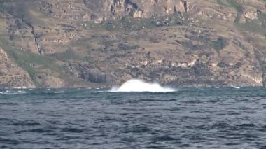 Queenstown Güney Adası, Yeni Zelanda