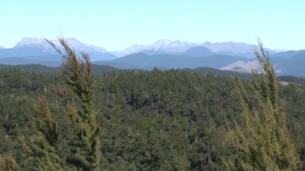 Veille Selle Hope Nouvelle Zélande — Video