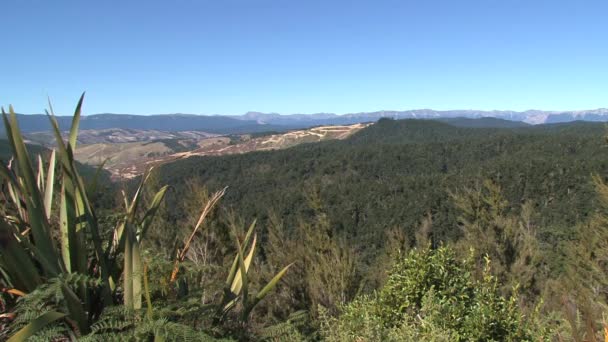 Mirador Silla Montar Hope Nueva Zelanda — Vídeos de Stock