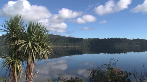 Güney Adası Yeni Zelanda Daki Lanthe Gölü — Stok video