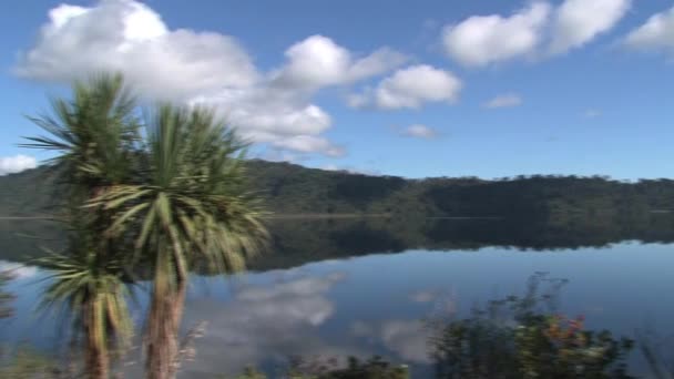 Seenlandung Auf Südinsel Neuseeland — Stockvideo