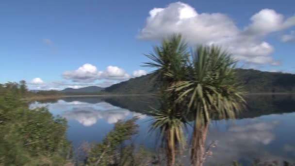 Lake Lanthe Southern Island New Zealand – stockvideo