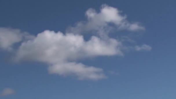 Lac Lanthe Dans Île Sud Nouvelle Zélande — Video