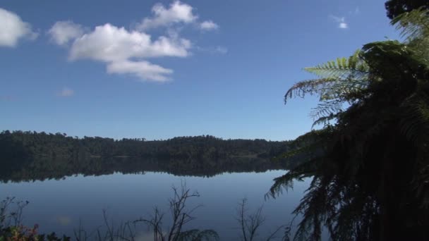 Seenlandung Auf Südinsel Neuseeland — Stockvideo