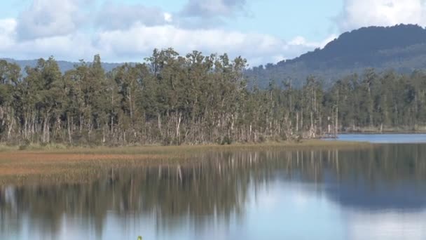 Lake Lanthe Södra Nya Zeeland — Stockvideo