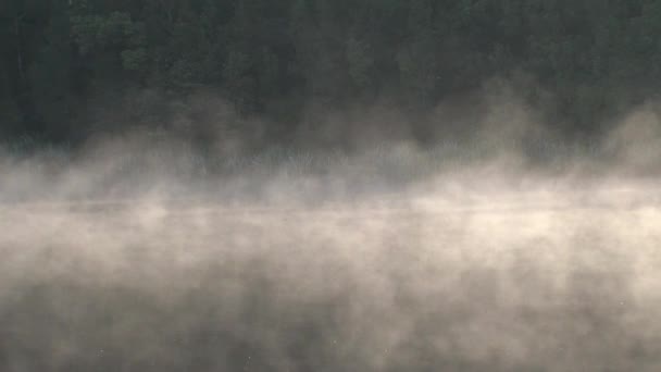 Lago Matheson Nueva Zelanda — Vídeo de stock