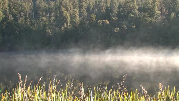 Lago Matheson Nuova Zelanda — Video Stock