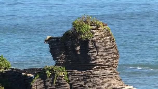 Pancake Rocks Westcoast Southern Island New Zealand — Stock Video