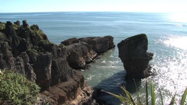 新西兰南部岛屿西海岸的薄饼岩 — 图库视频影像