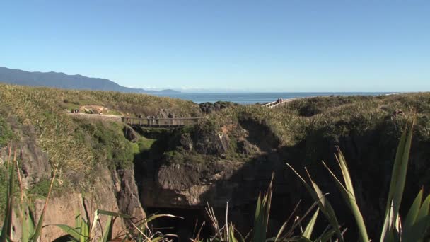 Pancake Stenar Västkusten Södra Nya Zeeland — Stockvideo
