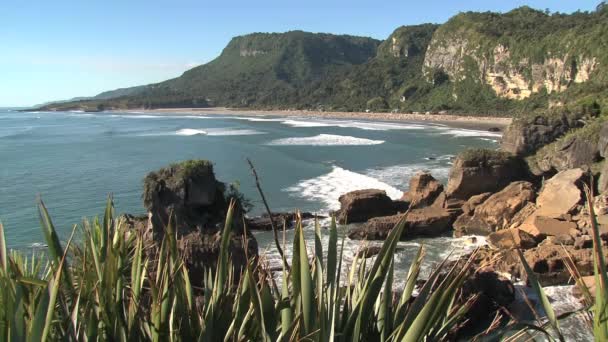 Panqueques Costa Oeste Isla Del Sur Nueva Zelanda — Vídeos de Stock