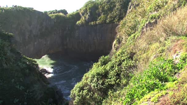 Panqueques Costa Oeste Isla Del Sur Nueva Zelanda — Vídeos de Stock