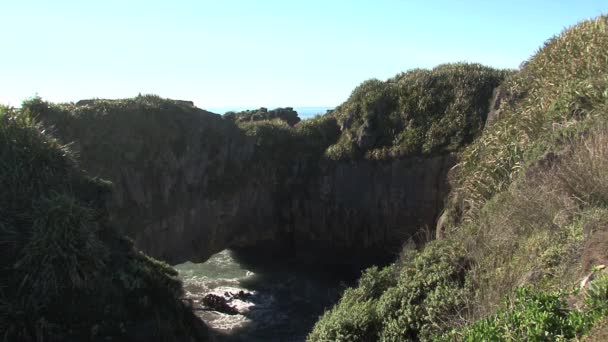 Pfannkuchenfelsen Der Westküste Südinsel Neuseeland — Stockvideo