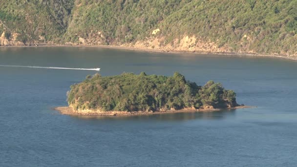 Motorbåt Vid Picton Område Zoom Out Nya Zeeland — Stockvideo