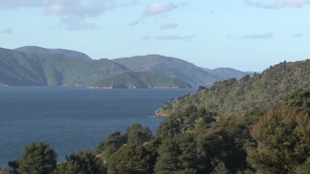Picton Area Zoom Out New Zealand — Stock Video