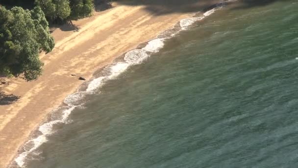 Picton Område Landskap Nya Zeeland — Stockvideo