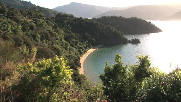 Paisagem Área Picton Nova Zelândia — Vídeo de Stock