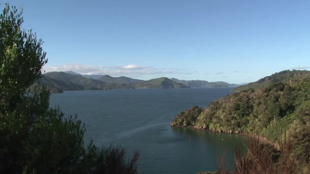 Περιοχή Picton Τοπίου Νέα Ζηλανδία — Αρχείο Βίντεο