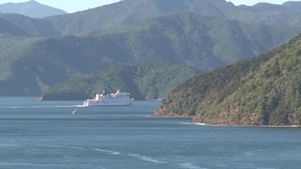 Picton Ferry Leaving New Zealand — 图库视频影像