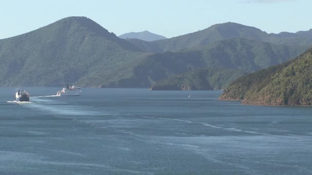 Picton Fähre Verlässt Zoom Out Neuseeland — Stockvideo