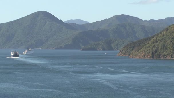 ニュージーランドの港ピクトンズームアウトを離れるフェリー — ストック動画