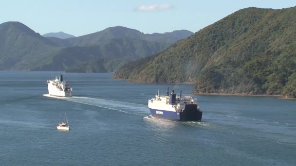 Ferries Leaving Harbor Picton New Zealand — Stock Video