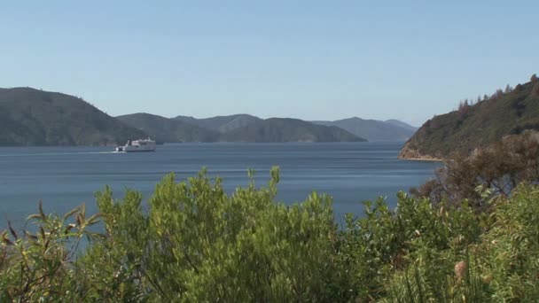 Ferry Leaving Picton Area New Zealand — Stock Video