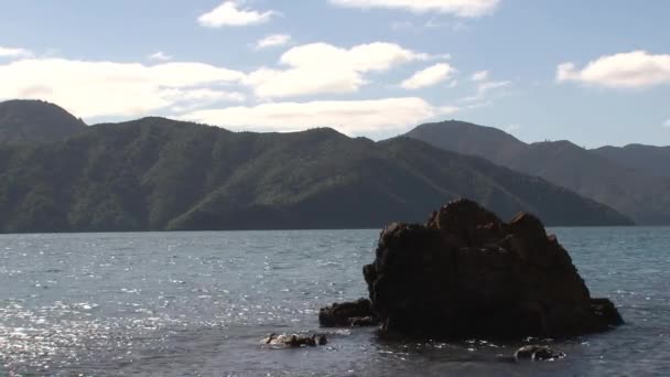 Área Picton Nueva Zelanda — Vídeo de stock