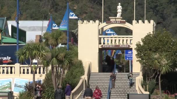 Picton Pier Zoom Out New Zealand — Stock Video