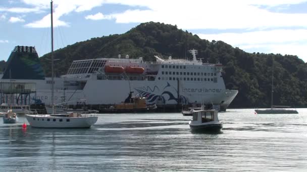 Picton Ferry Στο Λιμάνι Νέα Ζηλανδία — Αρχείο Βίντεο