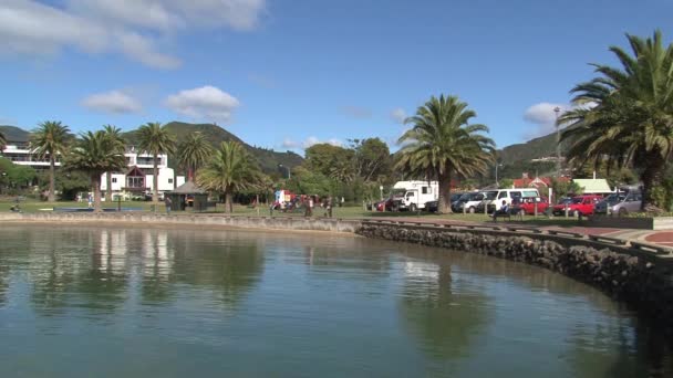 Bahía Cerca Ciudad Picton Nueva Zelanda — Vídeo de stock