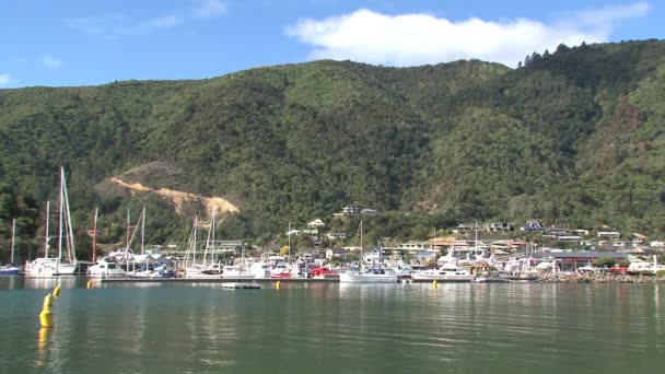 Λιμάνι Picton Καλοκαίρι Νέα Ζηλανδία — Αρχείο Βίντεο