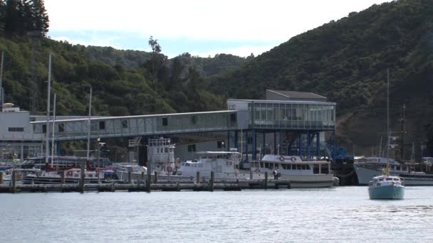 Picton Harbor Zoom Out New Zealand — 图库视频影像