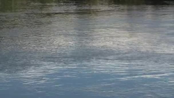 Lake Pupu Bronnen Aan Westkust Nieuw Zeeland — Stockvideo