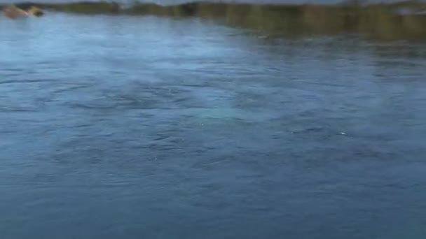 Der Pupu See Entspringt Der Westküste Neuseelands — Stockvideo