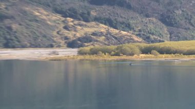 Batı Yakası Güney Adası Yeni Zelanda