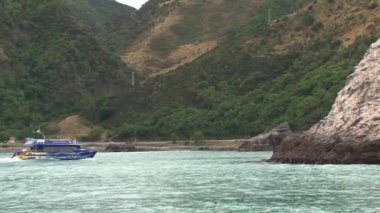 Vahşi yaşam, 