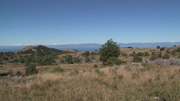 Mirador Colina Takaka Bahía Oro Nueva Zelanda — Vídeos de Stock