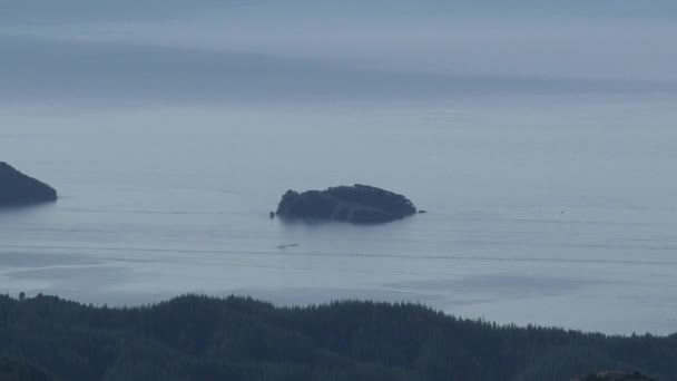 Vue Sur Colline Takaka Zoom Arrière Nouvelle Zélande — Video